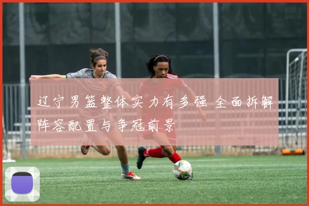 辽宁男篮整体实力有多强 全面拆解阵容配置与争冠前景