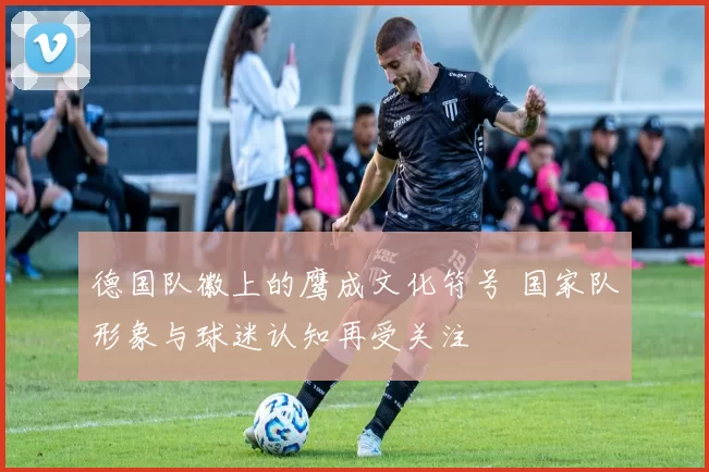 德国队徽上的鹰成文化符号 国家队形象与球迷认知再受关注