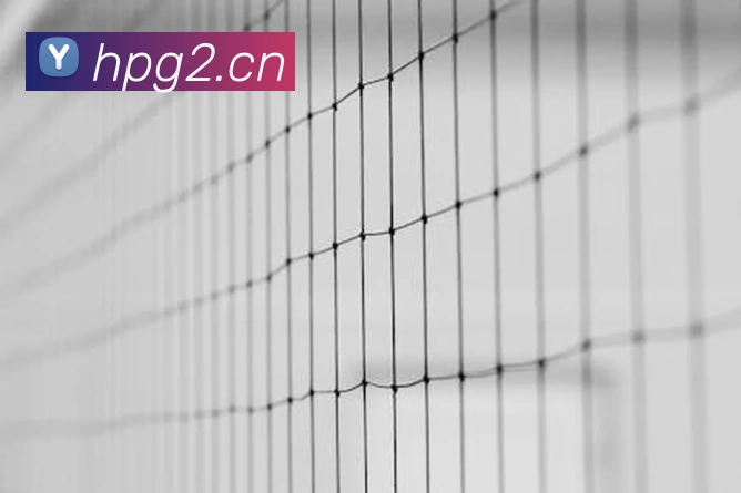 世界杯指定官网品牌故事